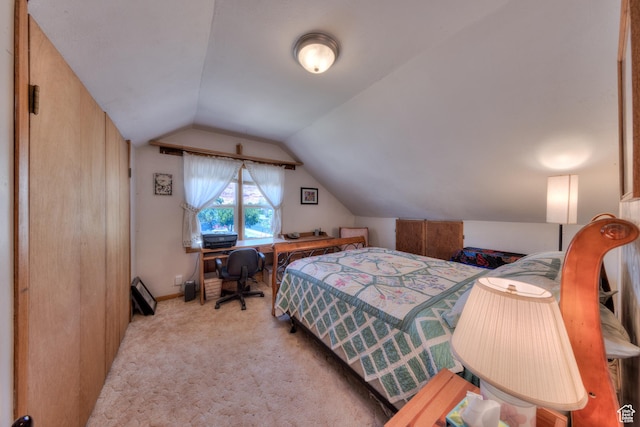 210 S 400 E, Moab, UT 84532 - bedroom featuring lofted ceiling and carpet floors
