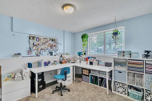1976 N 1720 W, Clinton, UT 84015 - office space featuring carpet flooring and a textured ceiling