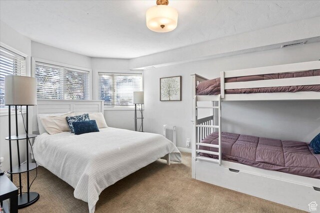 bedroom featuring radiator and carpet
