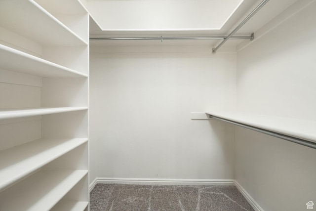 1864 S Crockett Cir, Bloomington, UT 84790 - spacious closet with carpet floors