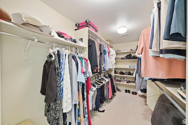 1026 Wesley Powell Dr, St George, UT 84790 - spacious closet with visible vents and carpet flooring