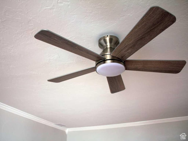 details featuring ornamental molding and a ceiling fan