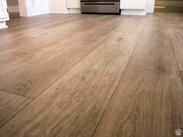 room details with wood finished floors