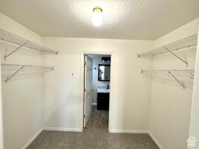 863 S 1520 E, Spanish Fork, UT 84660 - spacious closet with carpet flooring