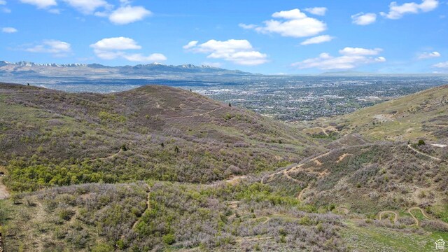 2438 E Lone Hill Dr, Draper, UT 84020 - property view of mountains