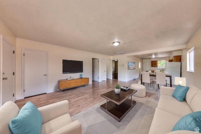 127 Birch Ave, Moab, UT 84532 - living room featuring light wood-style floors and a textured ceiling