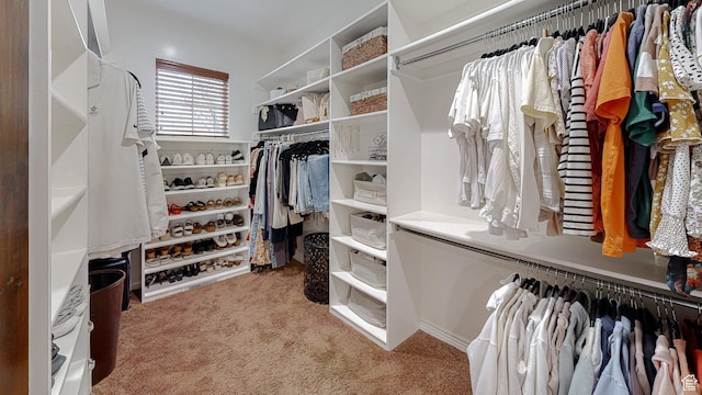 997 W 675 S, Mapleton, UT 84664 - spacious closet featuring carpet flooring