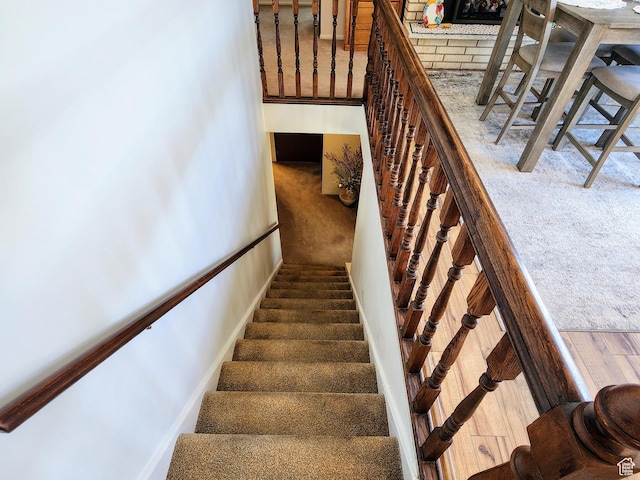 stairway featuring carpet flooring