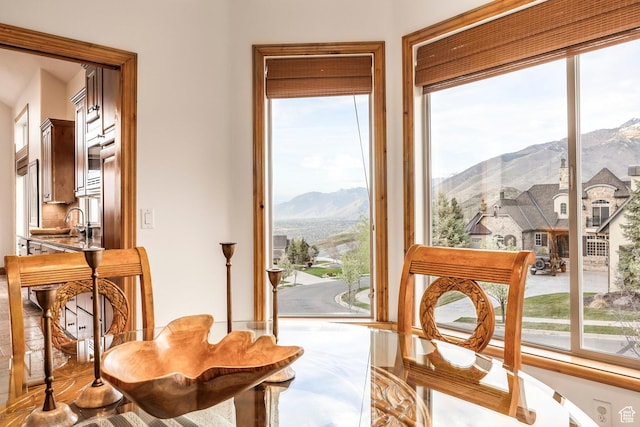 1263 E Wild Maple Ct, Draper, UT 84020 - doorway featuring a sink, a mountain view, and a wealth of natural light