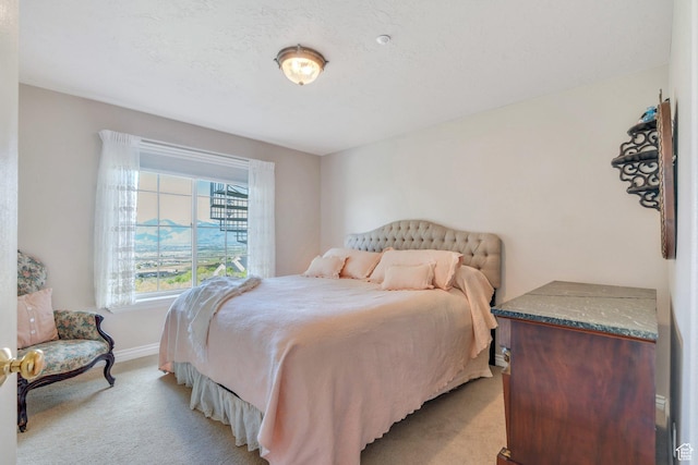 110 W Oak Cir, Woodland Hills, UT 84653 - bedroom with baseboards and light carpet