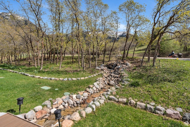 110 W Oak Cir, Woodland Hills, UT 84653 - view of yard