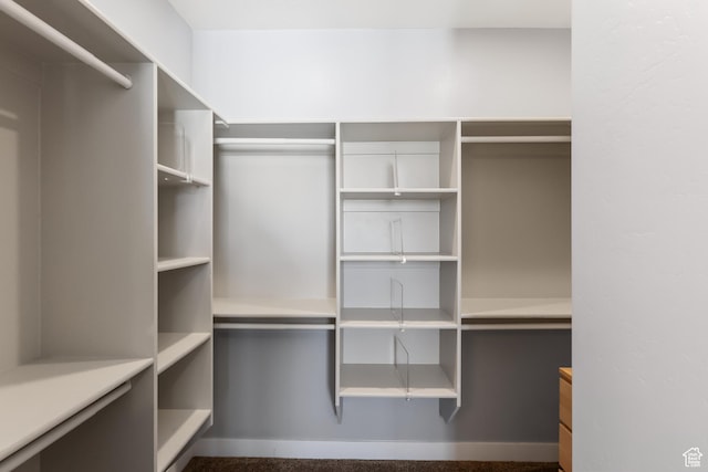 1167 N 150 E Unit 53, Nephi, UT 84648 - view of walk in closet