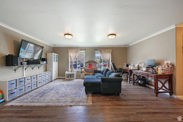 3569 E Rock Creek Rd Unit G2, Eagle Mountain, UT 84005 - living area featuring crown molding, a textured ceiling, and wood finished floors