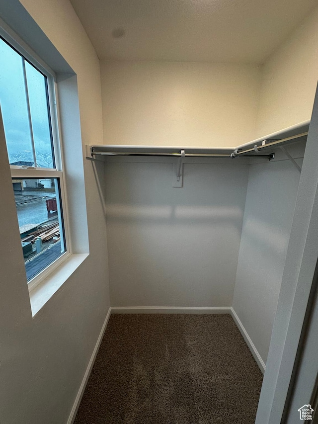 1071 W 400 S Unit 44, Brigham City, UT 84302 - spacious closet featuring carpet floors