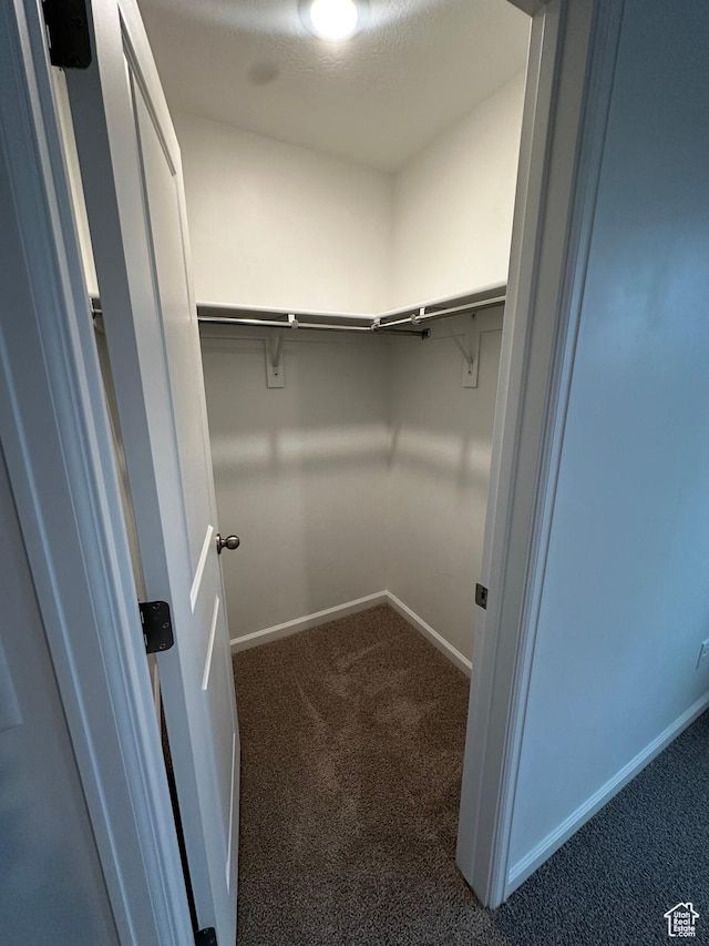 1071 W 400 S Unit 44, Brigham City, UT 84302 - walk in closet with carpet