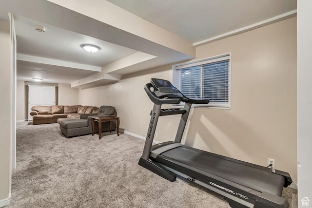 239 Country Club Dr, Stansbury Park, UT 84074 - workout room with baseboards and carpet