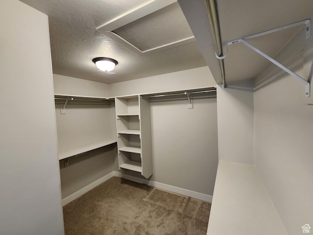 113 N Granite Park Dr, Saratoga Springs, UT 84045 - walk in closet with dark carpet