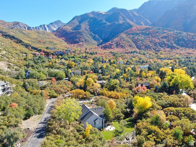 mountain view with a forest view