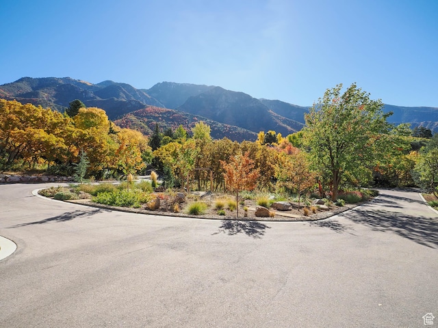 view of mountain feature