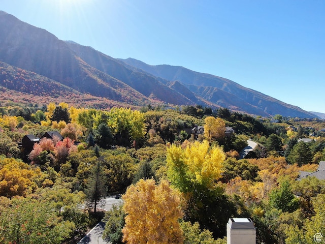 view of mountain feature with a forest view