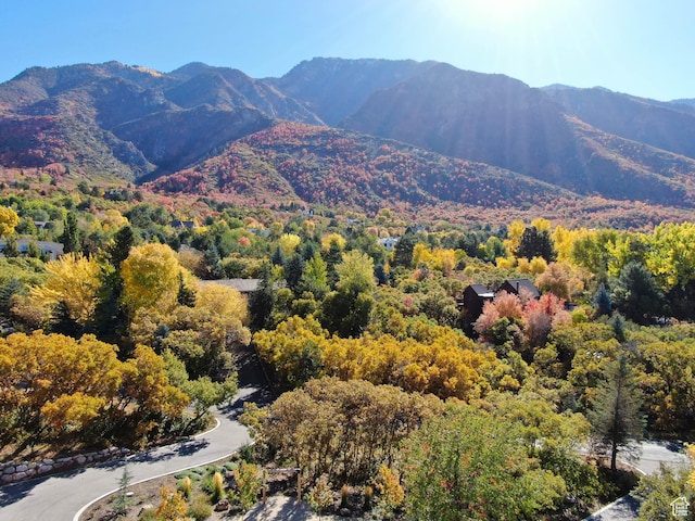 mountain view featuring a view of trees