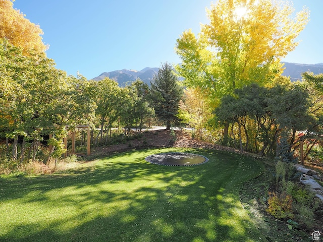 view of yard with a mountain view