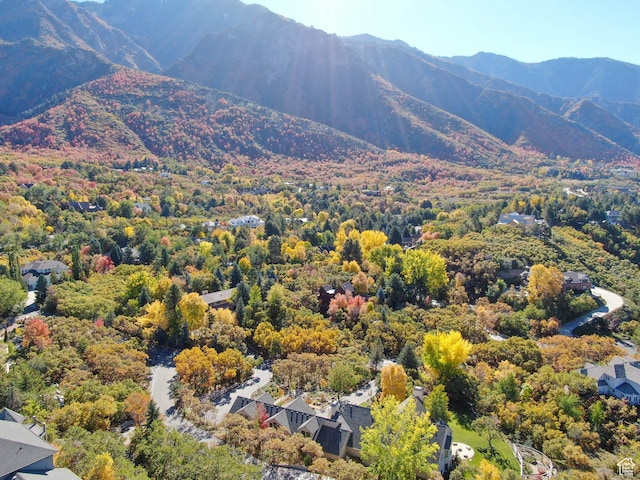 view of mountain feature featuring a wooded view
