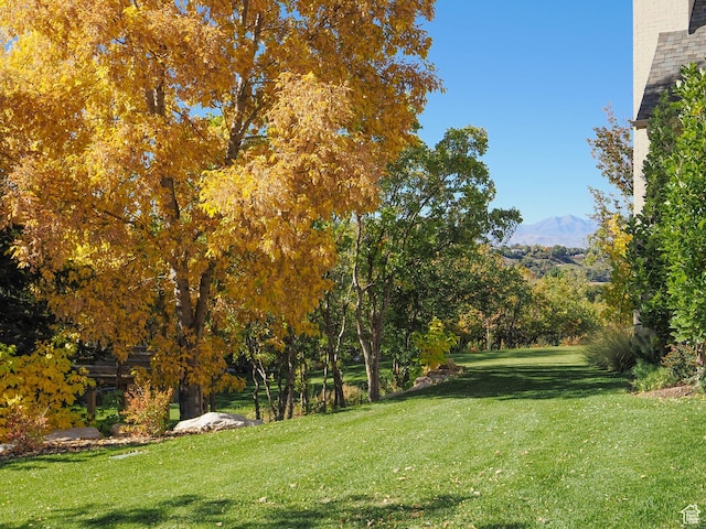 surrounding community with a mountain view and a yard