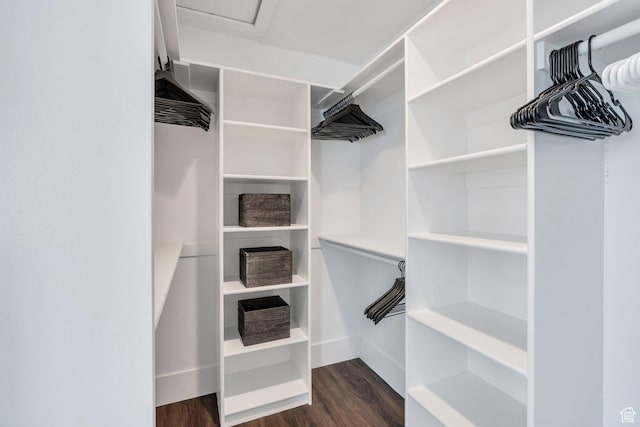 654 N 200 E, American Fork, UT 84003 - walk in closet with dark wood-style floors