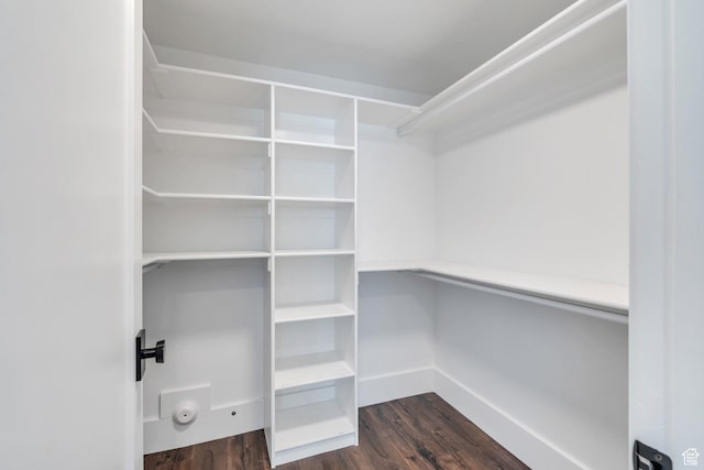 654 N 200 E, American Fork, UT 84003 - walk in closet with dark wood-style flooring