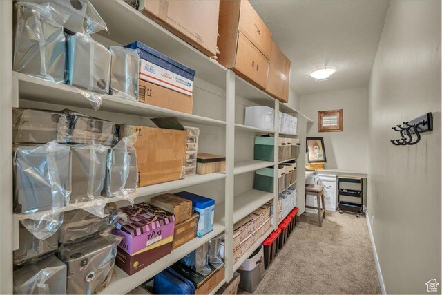 305 E 350 N, Ivins, UT 84738 - view of storage