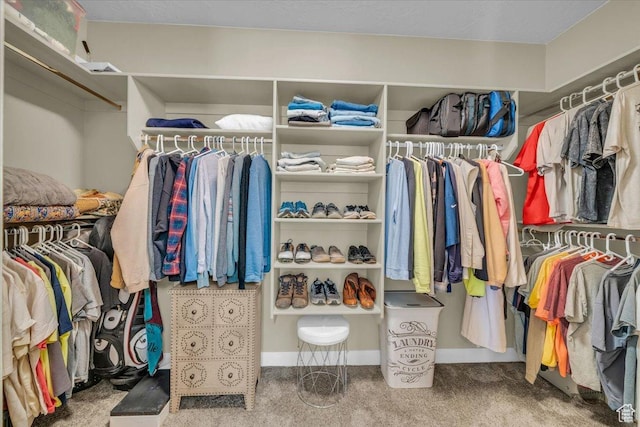305 E 350 N, Ivins, UT 84738 - walk in closet with carpet