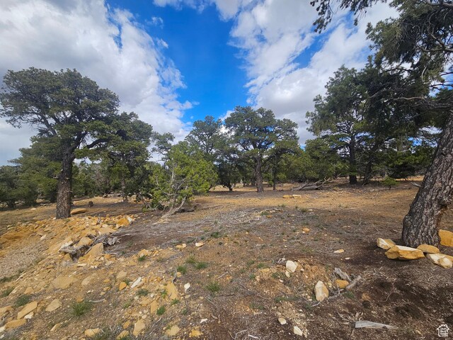 33383 W 8000 S, Duchesne, UT 84021 - view of local wilderness