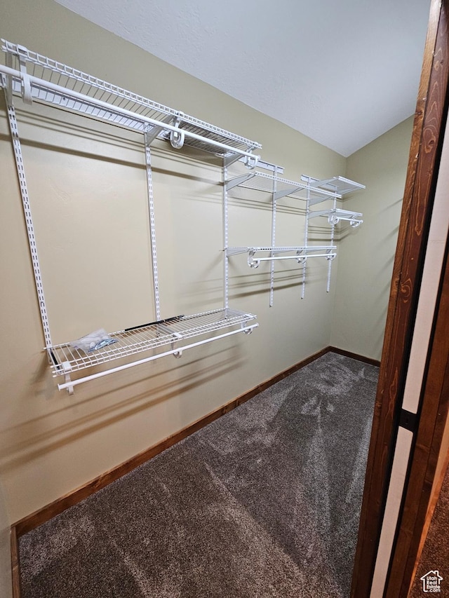 33383 W 8000 S, Duchesne, UT 84021 - spacious closet featuring carpet
