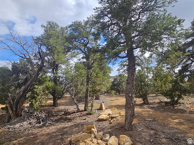 33383 W 8000 S, Duchesne, UT 84021 - view of undeveloped land