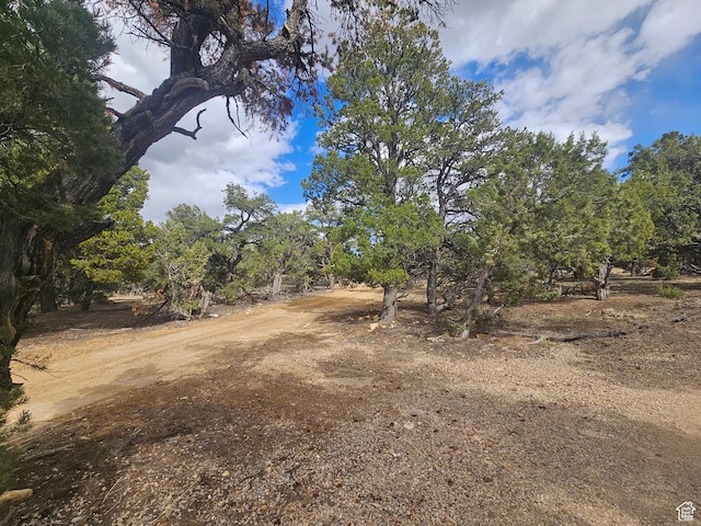 33383 W 8000 S, Duchesne, UT 84021 - view of yard