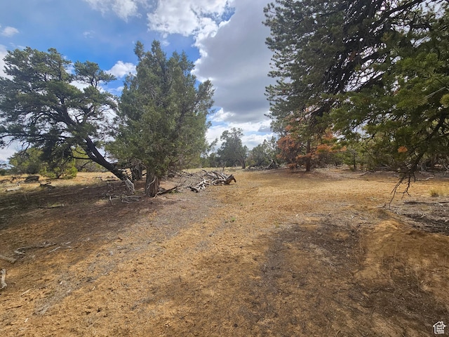 33383 W 8000 S, Duchesne, UT 84021 - view of yard