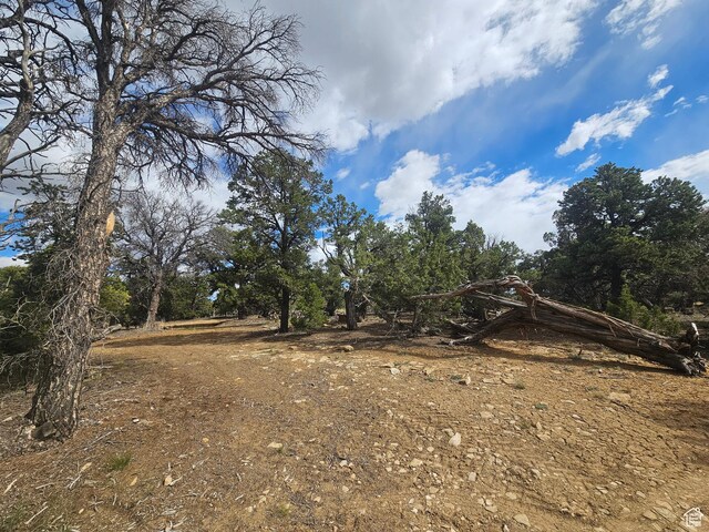 33383 W 8000 S, Duchesne, UT 84021 - view of nature