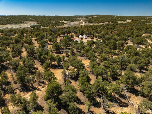 33383 W 8000 S, Duchesne, UT 84021 - aerial overview of property's location with a heavily wooded area
