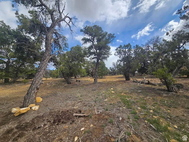 33383 W 8000 S, Duchesne, UT 84021 - view of yard