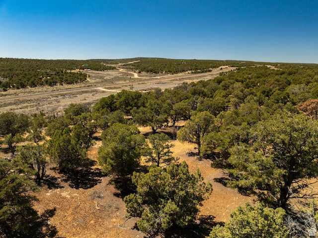 33383 W 8000 S, Duchesne, UT 84021 - aerial view of property's location featuring a heavily wooded area