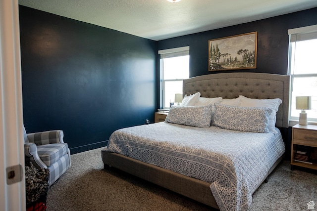 1809 S 1280 W, Logan, UT 84321 - bedroom featuring multiple windows and carpet