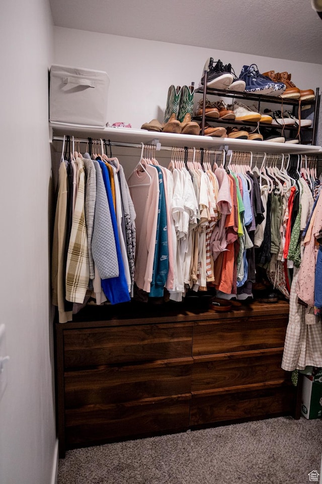 1809 S 1280 W, Logan, UT 84321 - spacious closet with carpet floors