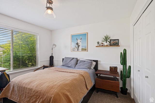4356 W Elk Rim Rd, South Jordan, UT 84009 - carpeted bedroom featuring multiple windows and a closet