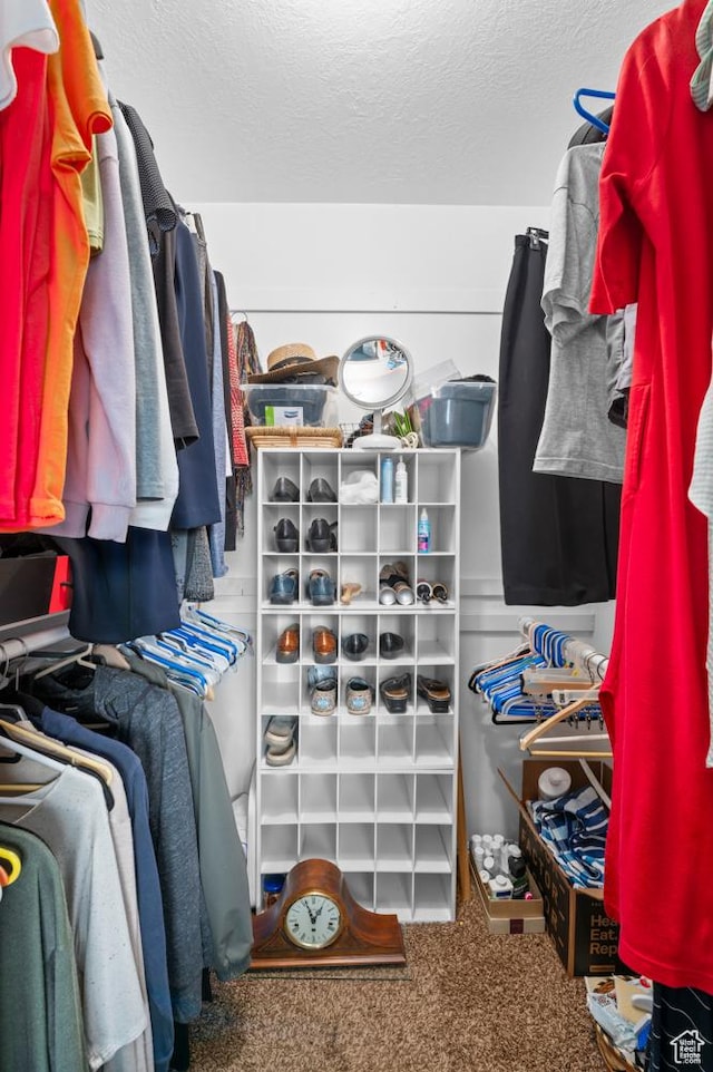 627 S 825 E, Layton, UT 84041 - walk in closet with carpet
