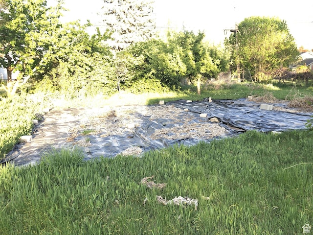 553 S 200 W, Brigham City, UT 84302 - view of yard