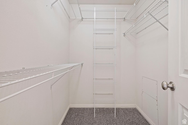 14499 S Siltstone Rd W, Herriman, UT 84096 - spacious closet with carpet flooring