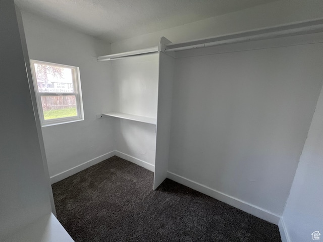 172 N 300 W, Logan, UT 84321 - spacious closet featuring dark carpet