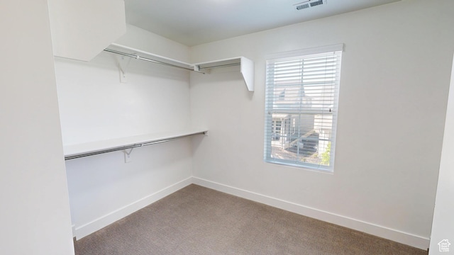 10627 S Lake Terrace Ave S, South Jordan, UT 84009 - walk in closet featuring carpet