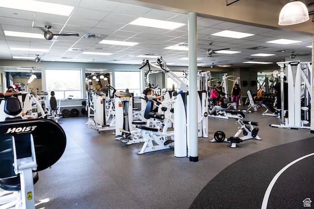 10627 S Lake Terrace Ave S, South Jordan, UT 84009 - exercise room with a drop ceiling and ceiling fan